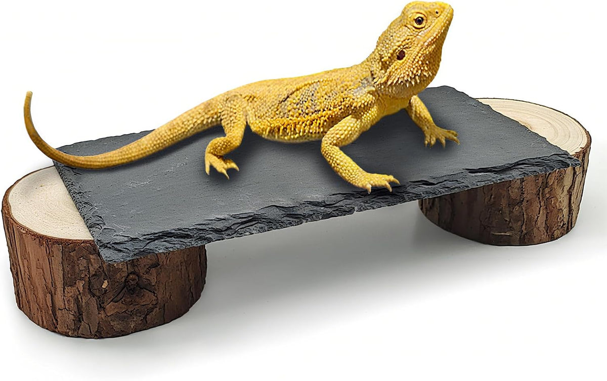 Bearded Dragon Basking Platform - L - 8" x 4" x 1.6"