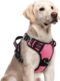 rabbitgoo Dog Harness for Large, No Pull 3 Buckles Easy On & Off – Essentials for Dogs - Pink / Large