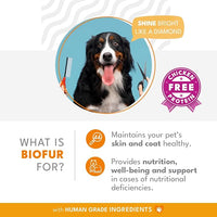 BIOFUR: Omega 3 Supplement for Cats & Dogs - Puppy Essentials & Dog Allergy Relief - Vitamins, Minerals for Feline & Canine Skin, Coat Health, Nutrition, Well-Being, Orange