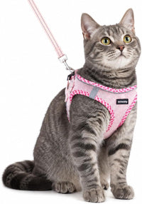 Rttochfy Cat Harness and Leash Set, Escape Proof Kitten Harness - XXS (Chest:11"-12") / Pink