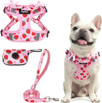 PUPTECK Dog Harness and Leash Set Small Sized - M (17-25lbs, Chest 17"-21") / #2 Pink(Strawberry Print)