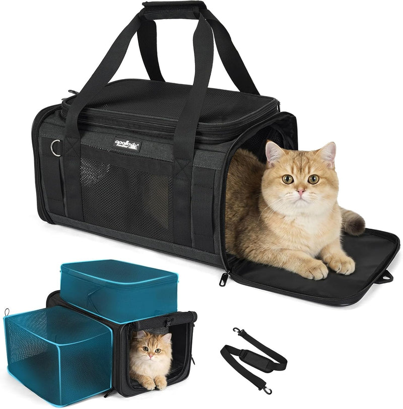 Apollo Walker Cat Carrier Airline Approved Expandable Black – Essentials for Cats