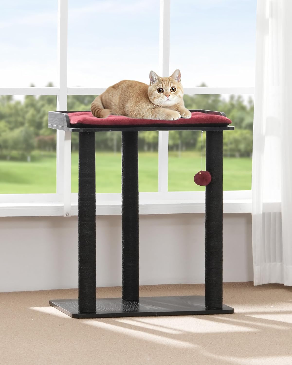 Modern Cat Tree for Large Cats, Full Sisal Cat Scratching Post – Essentials for Cats - Black&Red / 22"L x 15.7"W x 26.7"H - image 4
