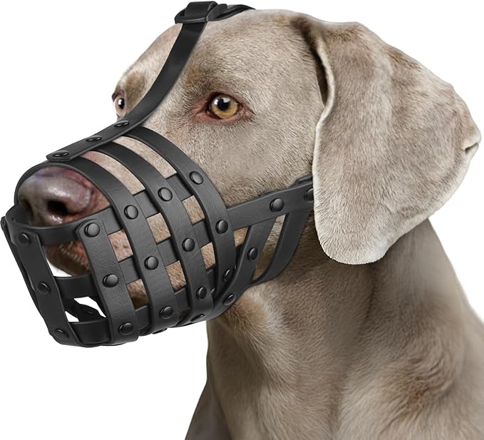 Mayerzon Dog Muzzle for Medium Large Dogs, Humane Basket Muzzle, Soft & Lightweight & Adjustable | Anti Biting Chewing Eating, Suits Training Walks Grooming Vet Visits, Drink & Pant Easily (Black, L)