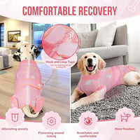 Lukovee Recovery Suit for Dogs, Zipper On Recovery Suit for Female Male Dog, Onesie Abdominal Wounds Cone E-Collar Alternative Prevent Licking Spay Recovery Suit (Large, A-Pink)