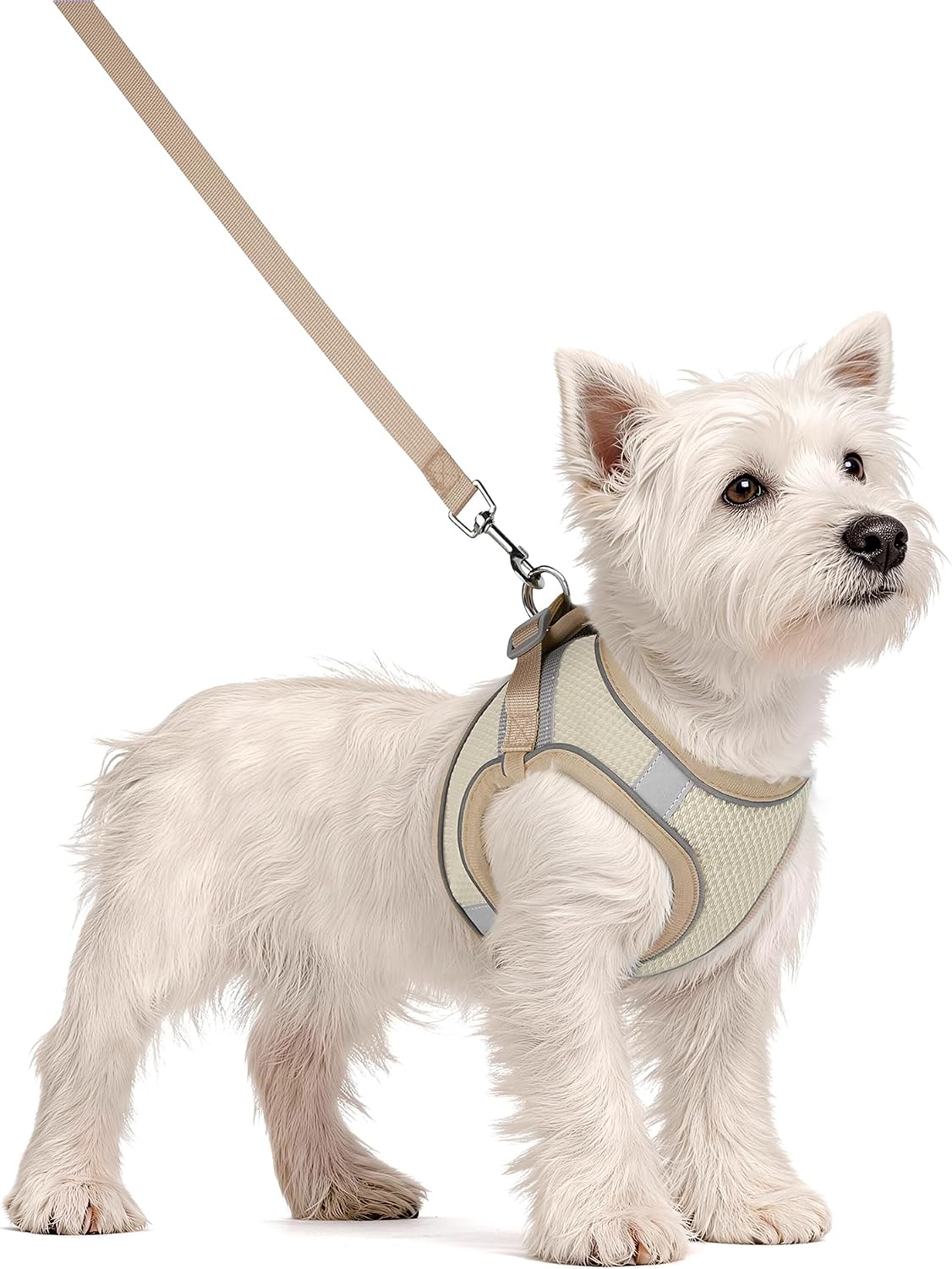 Solmoony Dog Harness, No Pull, Mesh for Small Medium Dogs - Beige / L - image 2