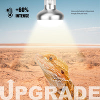 Reptile Heat Lamp, UVA Daylight Basking Light for Bearded Dragon - 2-pack Reptile Heat Bulb / 75W - image 2
