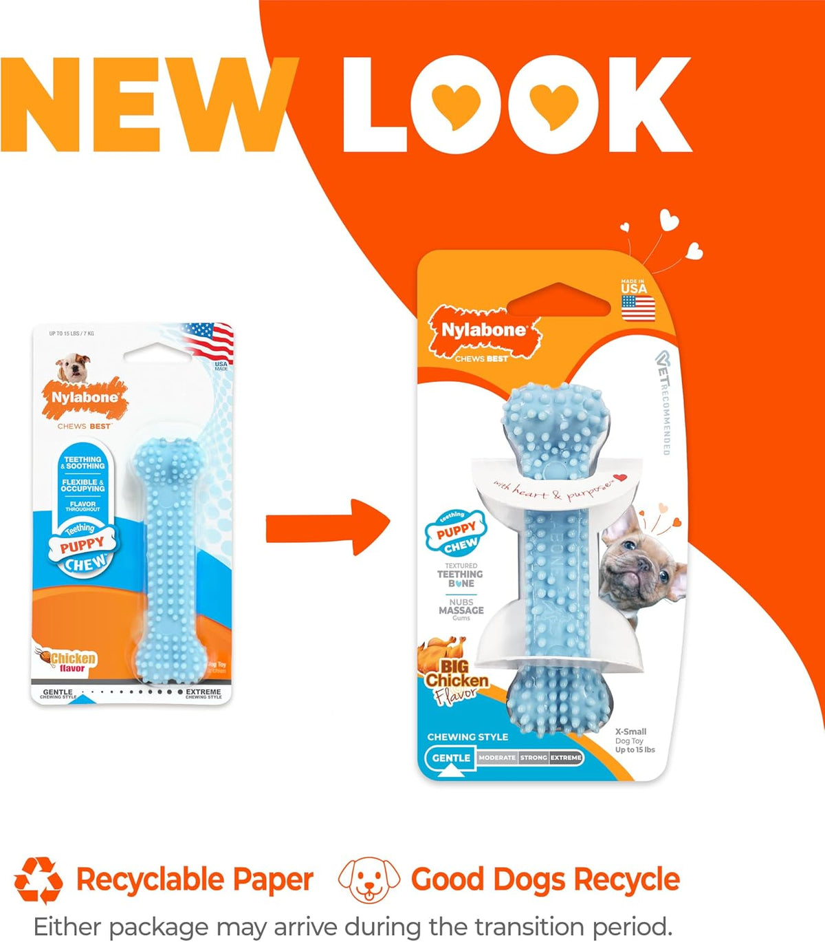 Nylabone Puppy Pacifier Chew Toy - Blue / X-Small - image 4