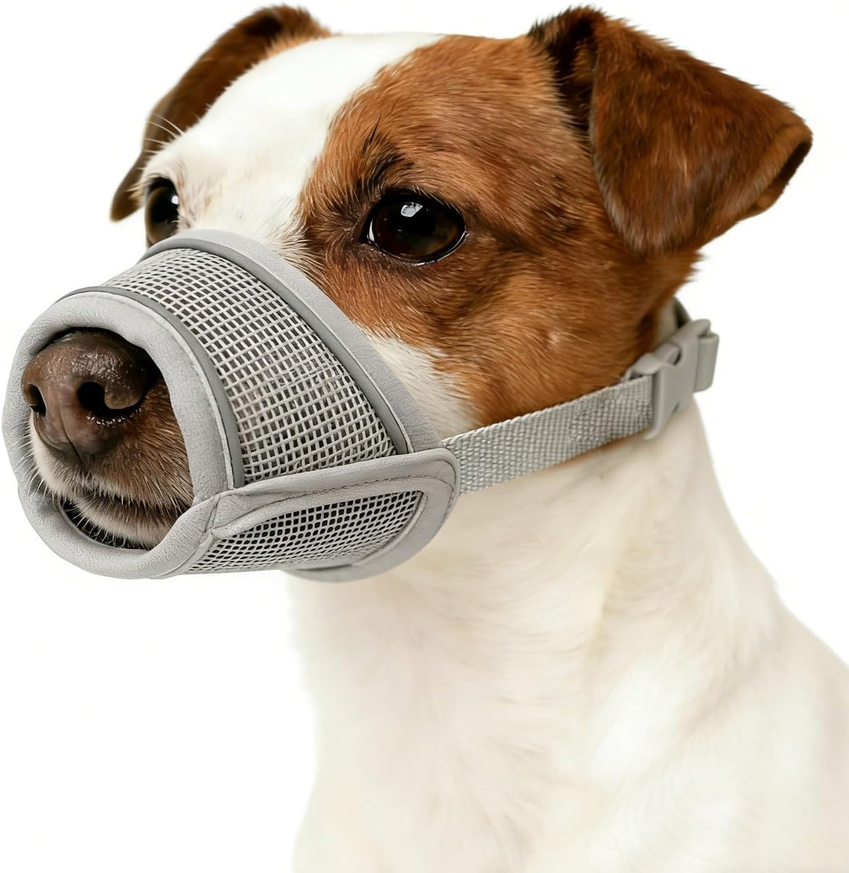 Dog Muzzle for Small Medium Large Dogs Soft Air Mesh Muzzles – Essentials for Dogs - Grey / M (Snout 7¼"-8")