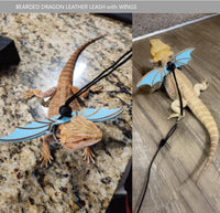 Bearded Dragon Leash and Harness Set, Beardie Carrier - Blue - image 3