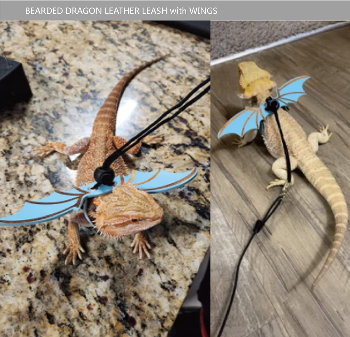 Bearded Dragon Leash and Harness Set, Beardie Carrier - Blue - image 3