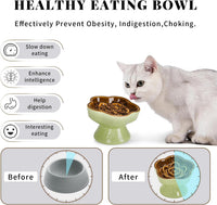 S&Q's CERAMICS Raised Slow Feeder Cat Bowl - 5.8" / Brown - image 3