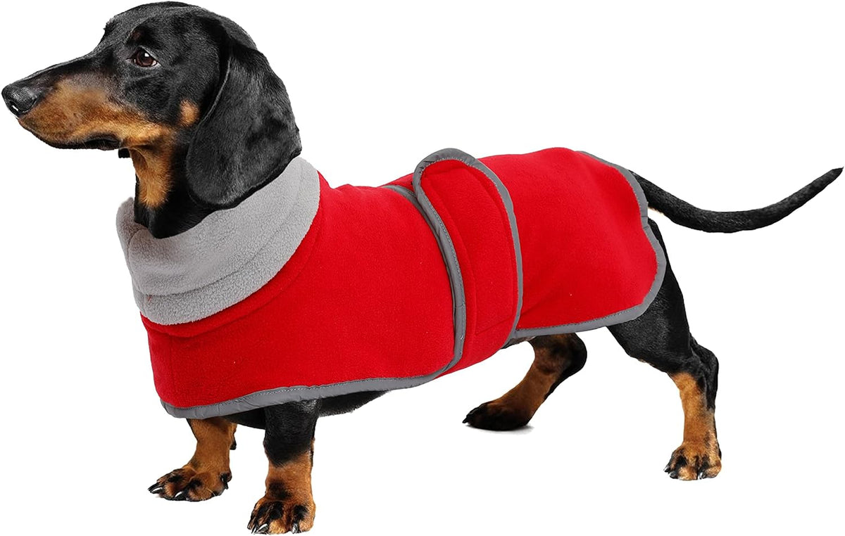 Dachshund Sweaters, Dachshund Coat Perfect Dog Winter Coat with Padded Fleece Lining - Large / Red