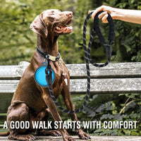 COOYOO 2 Pack Dog Leash 5 FT Heavy Duty - 1/2"x 6 FT (18~120 lbs.) / Set 2-Black+Blue - image 2