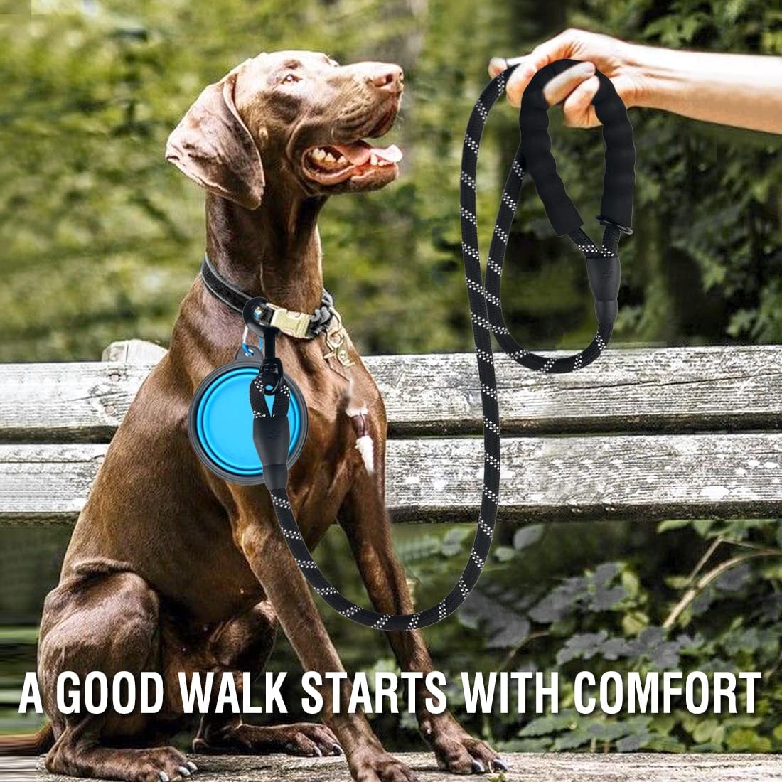 COOYOO 2 Pack Dog Leash 5 FT Heavy Duty - 1/2"x 6 FT (18~120 lbs.) / Set 2-Black+Blue - image 2