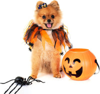 PET SHOW 20pcs Halloween Small Dog Hair Bows with Rubber Bands - 50pcs Halloween - image 3