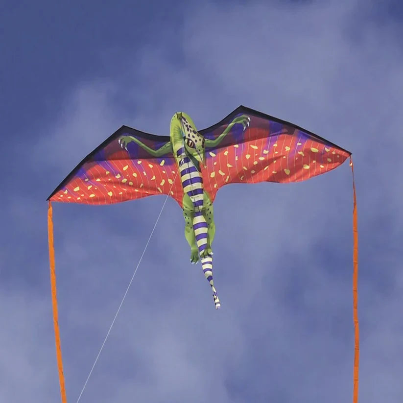 Fantasy 70 inch Wingspan Nylon Pterodactyl