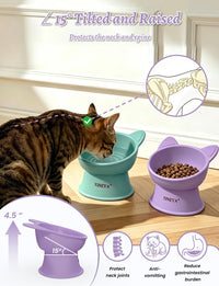 YINEYA 2 Pack Cat Food Bowls Elevated Design for Neck Comfort - Purple&Cyan - image 2