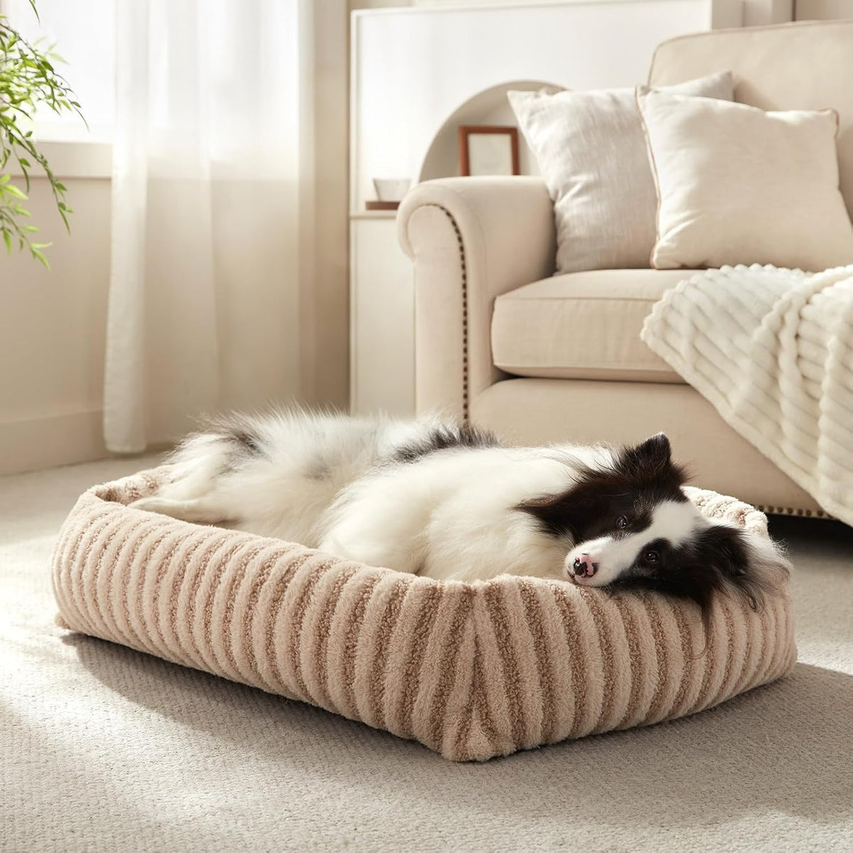 MIXJOY orthopedic dog bed with raised rim and faux fur, medium size