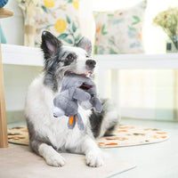 Nocciola 5 PCS Less Stuffing Dog Squeaky Toys for Aggressive Chewers, Durable Plush Dog Toy Set with Stuffed Head for Small to Large Dogs