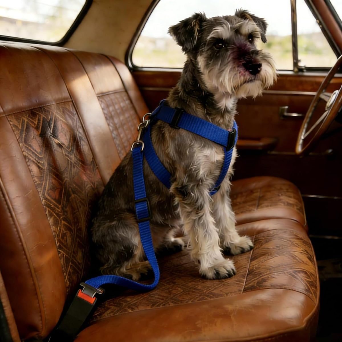 Elisel Elisel 2 Packs Adjustable Length Pet Dog Cat car seat Belt Pet - Blue Pink - image 2