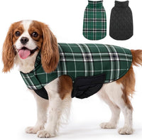 Winter Dog Jackets, Reversible Dog Coat with Leash Hole - Green / M