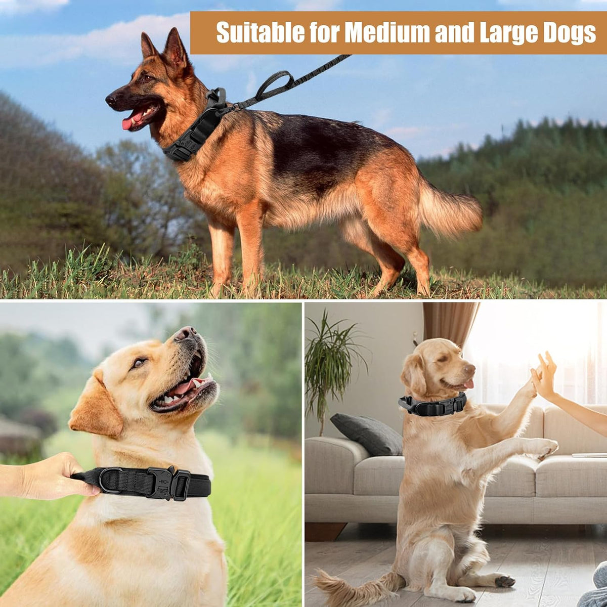 Tactical Dog Collar - Dog Collar with Control Handle for Medium Large Dogs – Essentials for Dogs - Black Set / XL - image 2