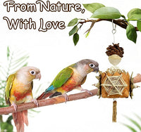 5-Pack Natural Hanging Basket Bird Toys – Foraging & Chewing Toys for Parakeets, Cockatiels, Conures & Small Birds – No Plastic, All-Natural Materials