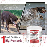 PHS Joint MAX Triple Strength (TS) Soft Chews for Dogs - Glucosamine, Chondroitin, MSM, Turmeric, Omega 3 - Hip and Joint Pain Relief and Support for Dogs - Made in USA - 30 Soft Chews