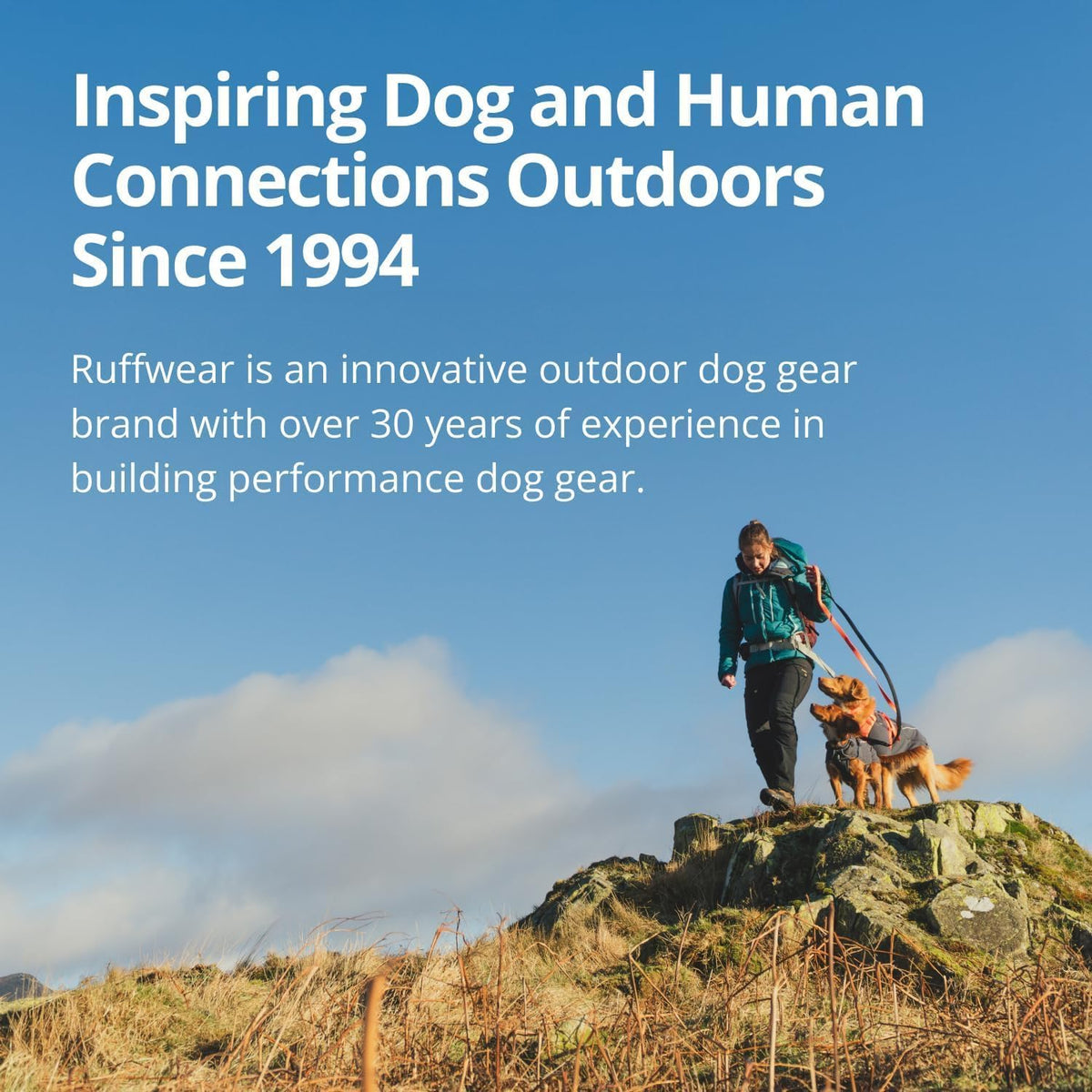 Ruffwear, Grip Trex Dog Shoes, 2.50" - Obsidian Black / 3.00 in (2 Boots) - image 2