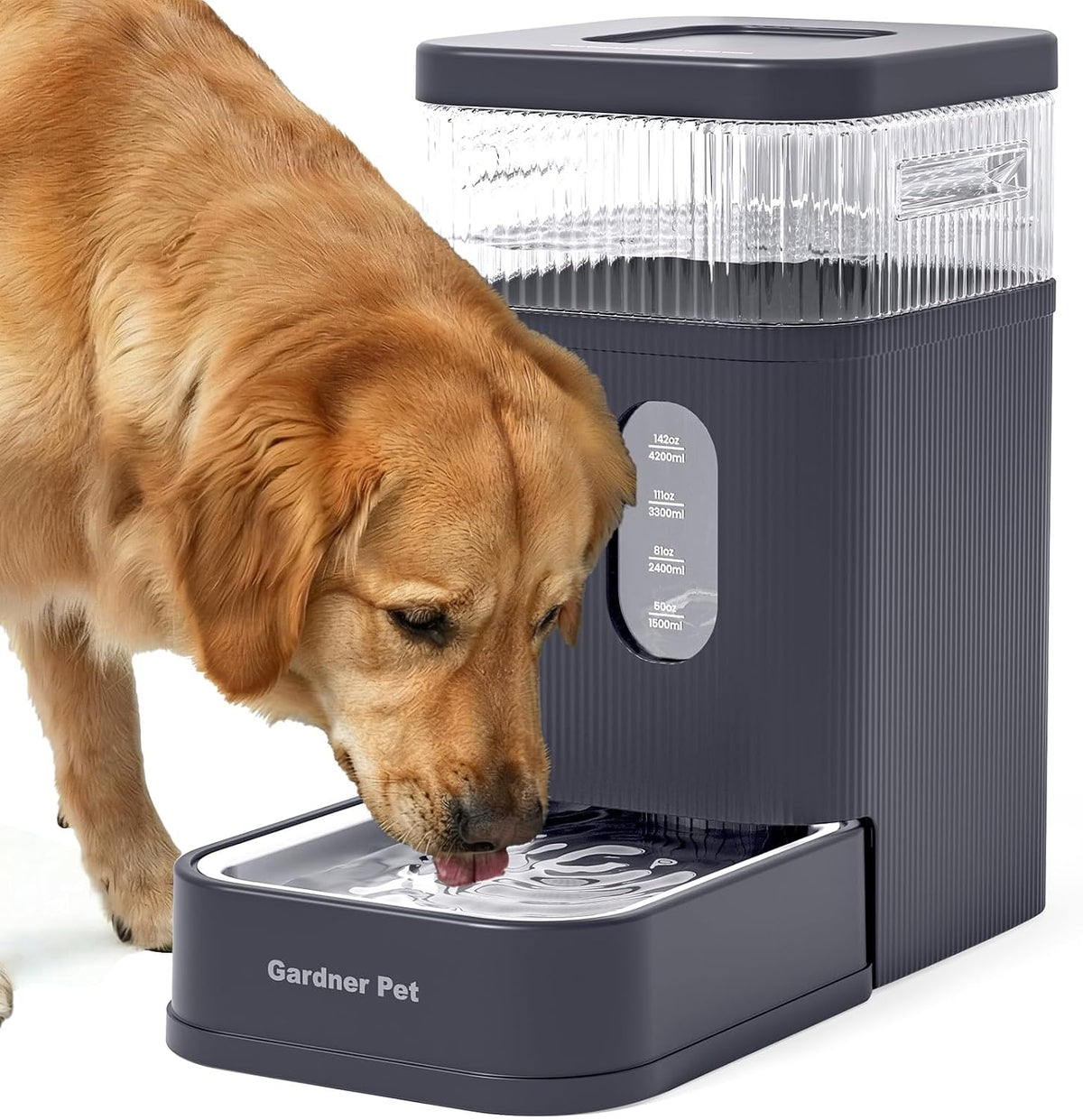 2.2 Gallon Automatic Dog Water Dispenser with Stainless Steel Bowl – Essentials for Dogs - Grey / 2.2 Gallon