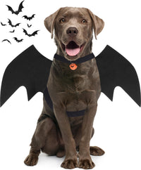 Dog Halloween Costumes for Large Dogs - Medium