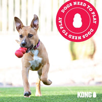 KONG Puppy, Natural Rubber Teething Chew Toy, for Small Puppies - Small (Pack of 1) / Pink - image 4
