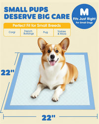 Powools Puppy Pads for Dogs, 6-Layer, Leak-Proof - 22" x 22" (150 Packs) - image 3