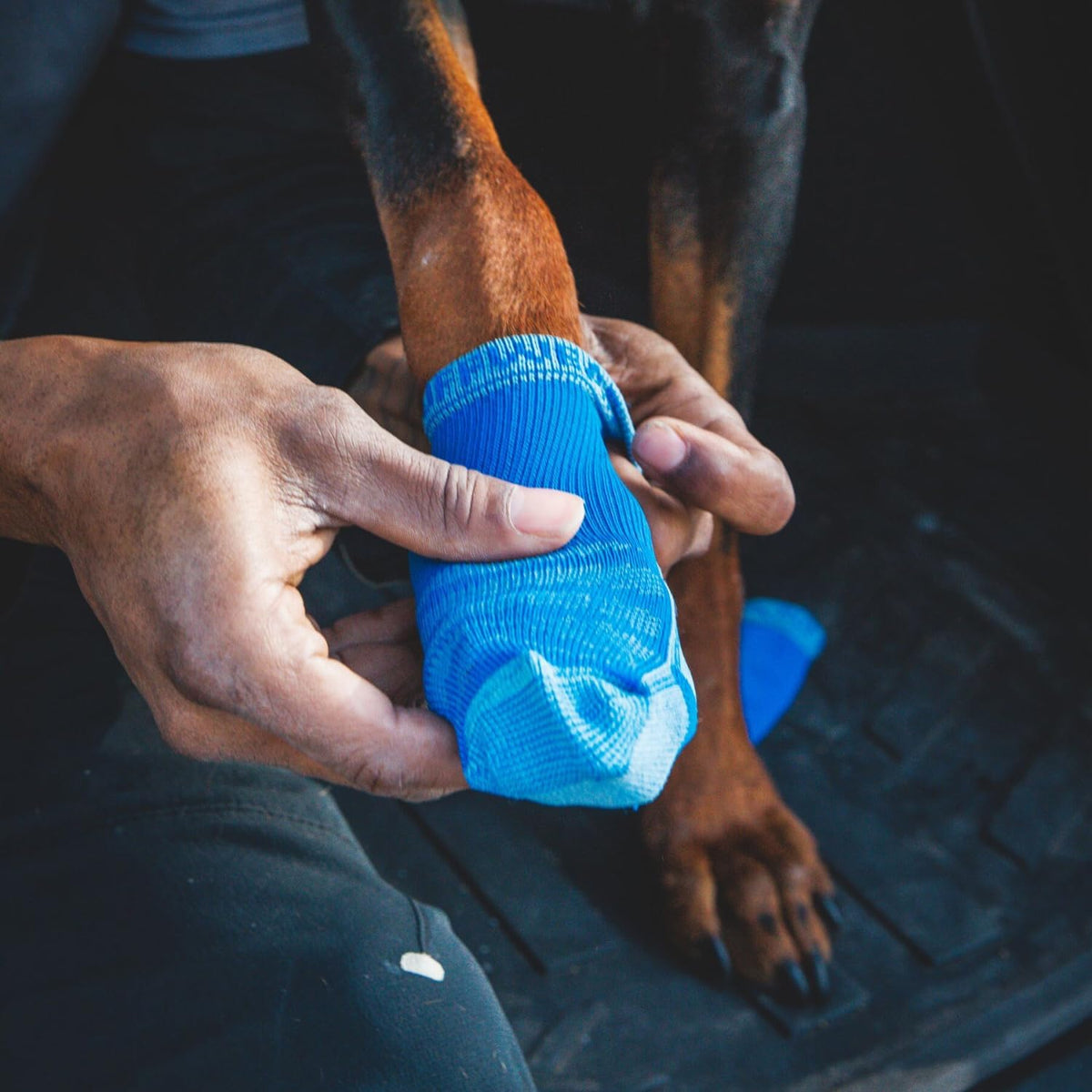 Ruffwear, Bark'n Boot Dog Socks - Blue Pool / 2.00 in/ 2.25 in - image 4