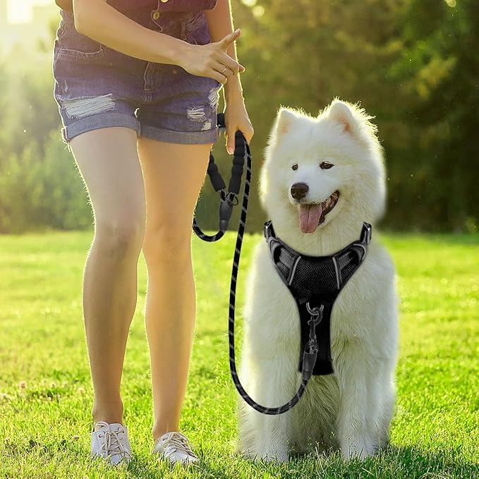 BARKBAY Dog Harness No Pull with ID Tag Pocket - Heavy Duty, Reflective, Easy Control for Large Dogs(Black,S)