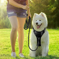 BARKBAY Dog Harness No Pull with ID Tag Pocket - Heavy Duty, Reflective, Easy Control for Large Dogs(Black,M)