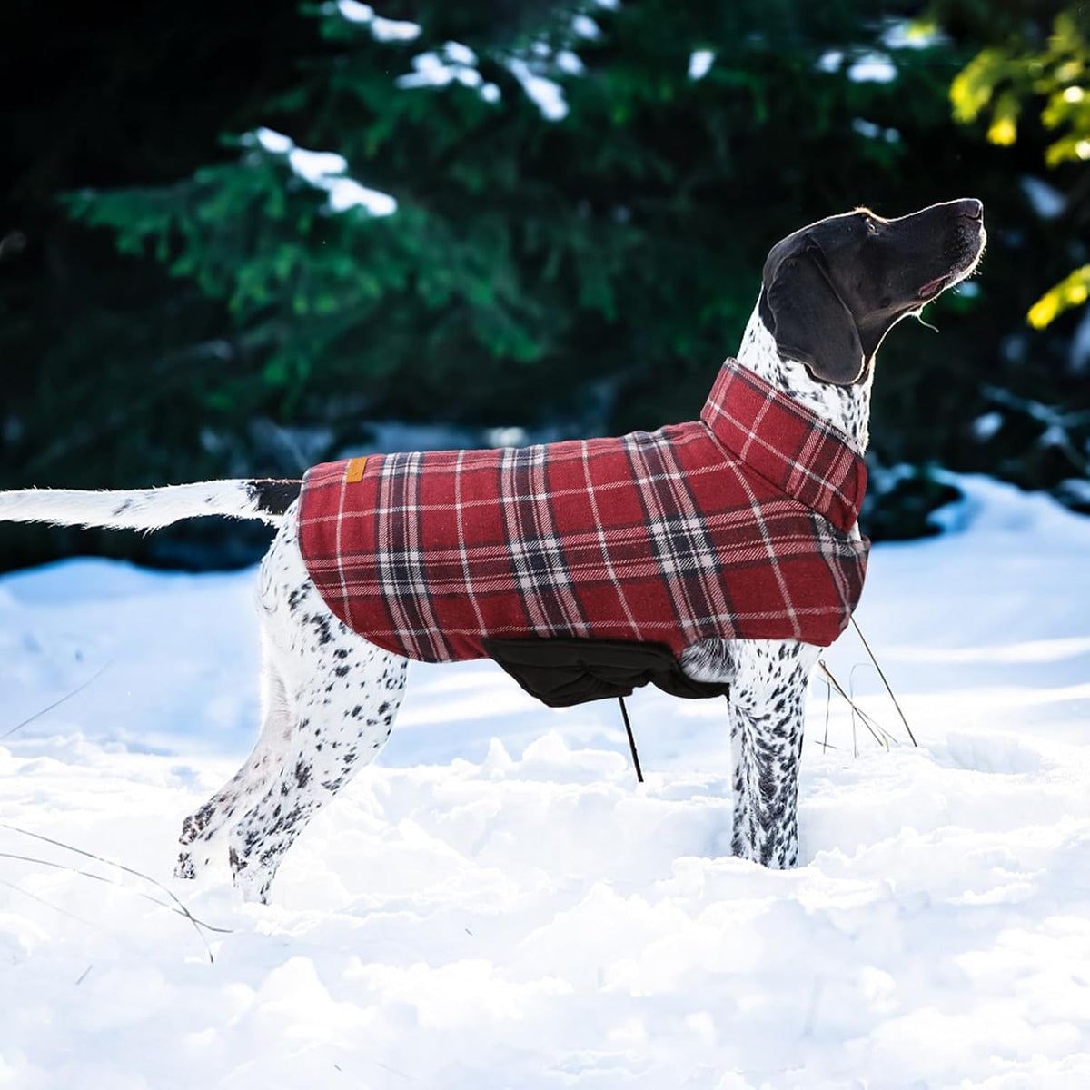 Kuoser Waterproof Dog Coat - Red / Medium (Pack of 1) - image 2