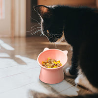 Tilted Cat Food Bowl, Whisker Friendly, Anti Vomiting, Slanted - Tall Cat Bowl-Pink - image 2