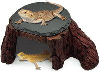 Bearded Dragon Basking Platform - XL: 11×7×3.5 inch | Style-B