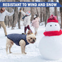 Winter Dog Vest Coat with Harness Built in – Essentials for Dogs - #1 Rolay Bule-Matte / L(Chest 19")-Regular - image 2
