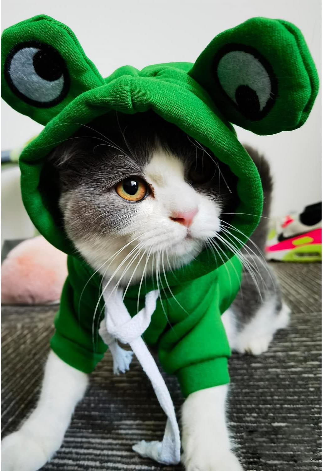 Dog Hoodie Basic Sweater Coat Cute - Green Frog / XS - image 4