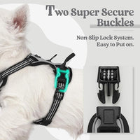 rabbitgoo Dog Harness No Pull with 2 Leash Clips, Adjustable Soft Padded, Reflective Oxford No Choke Pet Vest with Easy Control Handle for Puppy, Grey, XS