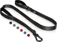 TwoEar 4FT 1IN Strong Black Dog Leash with 2 Padded Handles, Traffic Handle Extra Control, Comfortable Soft Dual Handle, Auto Lock Hook, Reflective Walking Lead for Small Medium and Large Dogs