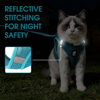 Cat Harness and Leash - Ultra Light Escape Proof Kitten Collar Cat Walking Jacket with Running - Turquoise / Small - image 2
