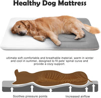 Large Dog Bed Soft Dog Crate Pad Mat 42 in Non-Slip Bottom Washable - 42.0"L x 28.0"W x 1.2"Th / Clay Gray - image 3