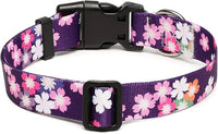 Mercano Adjustable Dog Collar - Special Design Patterns, Soft Nylon Comfortable Sturdy Pet Collar for Small Medium Large Dogs (M, Floral Pink)