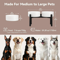 Raised Ceramic Dog Bowl Set with Stand - White / 2 Bowls - 7.5 Cups Each - image 2
