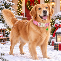 Lionheart Glory Christmas dog collar in cotton with adjustable strap and welded D-ring - view 3