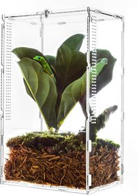REPTI ZOO Large Tarantula Enclosure Spider Enclosure 14" X 8" X 6", 2 in 1 Acrylic Aboreal Breeding Box for Mantis Snail or Terrestrial Breeding Box for Cricket Jumping Spiders Tarantula